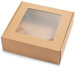  Cutie cu capac transparent, 300x300x100mm, 10 bucati (P2276)