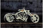  Covor Motocicleta Modern 11185 Selectează mărime: 080 X 150 Covor