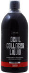 Devil Nutrition Devil Collagen Liquid - pentru sanatatea si intarirea articulatiilor, a pielii, a parului si unghiilor, 1000 ml