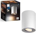 Philips White Ambiance 929003811301