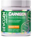 Evogen Nutrition Carnigen Naturals, Mandarin Orange - 80 grams