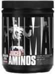 Animal Juiced Aminos, Orange Juiced - 377 grams