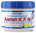 Evogen Nutrition Amino K. E. M. EAA, Tropical Thunder - 464 grams