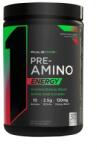 Rule 1 Pre-Amino Energy, Watermelon Splash - 252 grams
