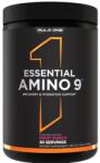 Rule 1 Essential Amino 9, Fruit Punch (EAN 196671009647) - 330 grams