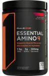 Rule 1 Essential Amino 9, Fruit Punch (EAN 837234109649) - 315 grams