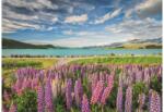Clementoni 31731 - High Quality Collection - Lupins at lake Tekapo - 1500 db-os puzzle (31731)