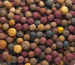 Mivardi Rapid Büdös-Édes Multi Mix 14-22mm Etető Bojli 10kg (M-RABOMIX100)
