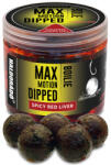 Haldorádó Max Motion Boilie Dipped Fűszeres Vörös Máj 100gr 20mm Bojli (HD28861)