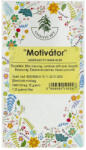 Gyógyfű Motivátor Tea Filter - vegyesbolt