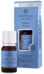 Chesapeake Bay Candle Clarity Aromaolaj - yankeegyertya