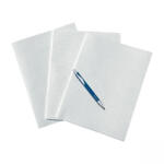 BLUERING Rovatolt papír A3, 20ív/csomag, A4, méretre hajtva Bluering® vonalas - bestoffice