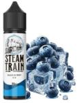 Steam Train - Blueberry Ice 20ml/60ml