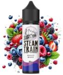 Steam Train - Forest Berry 20ml/60ml