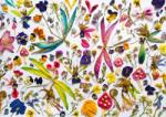 Enjoy - Puzzle Zâne și Libelule - 1 000 piese Puzzle