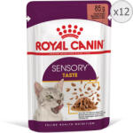 Royal Canin Set 12 buc x 85 gr Hrana umeda pentru pisici Royal Canin Sensory Taste
