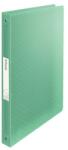 Esselte Carte cu inele ESSELTE ColourIce A/4 25 mm 4 inele PP verde transparent 626248 (626248)