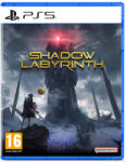 BANDAI NAMCO Entertainment Shadow Labyrinth (PS5)