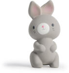 INGENUITY Kaucsuk rágóka nyuszi Sylvi 0hó+