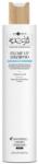 Hair Company Professional Hair Company Inimitable Style Creative Inspiration Filler Plump Up Shampoo 250 ml
