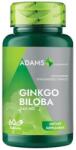 Adams Vision Ginkgo Biloba 240mg, 60 tablete, Adams
