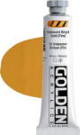 Golden Artist Colors Heavy Body Vopsea acrilică Iridescent Bright Gold (Fin) 59 ml 1 buc (0004012-2)