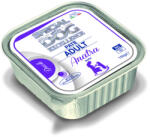 Special Dog 150g Pate Adult Kacsa
