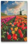  Gyémántszemes kirakó - Szélmalmok a tulipánmezőn Méret: 40x60cm, Keretezés: Kartonlemezen, Gyémántok: Négyzet alakú
