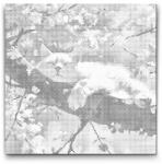  PontPöttyöző - Alvó macska a fán Méret: 50x50cm, Keretezés: Kerek keret, Szín: Fekete