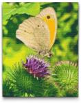  Gyémántszemes kirakó - Virágon ülő pillangó Méret: 30x40cm, Keretezés: Kartonlemezen, Gyémántok: Négyzet alakú