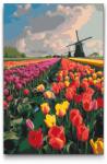  Festés számok szerint - Szélmalmok a tulipánmezőn Méret: 40x60cm, Keretezés: Kartonlemezen