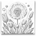  PontPöttyöző - Festett virágok Méret: 50x50cm, Keretezés: Keret nélkül (csak a vászon), Szín: Fekete