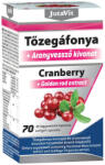 JutaVit Cranberry 800 mg + Golden Rod Extract (70 Capsule moi)