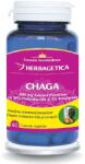 Herbagetica Chaga, 60 capsule vegetale, Herbagetica