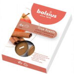 Bolsius 6 бр. чаени свещи Bolsius с аромат на ябълка и канела (TRU-PB15-95-MSC-TS)