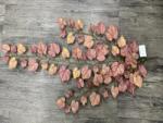  Buchet frunze artificiale pentru aranjamente florale (8487)