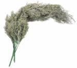  Crenguta asparagus artificiala pentru aranjamente florale (3750)