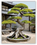  Ősi Bonsai és Kő Lámpás - számfestő készlet