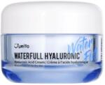 Jumiso Waterfull Hyaluronic Acid Arckrém