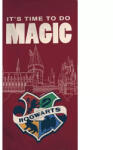  Harry Potter fürdőlepedő, strand törölköző 70*140cm (AYM070552)
