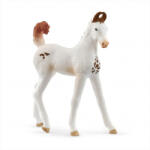 Schleich Marwari csikó figura (14896)