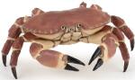 Papo Figurina Papo Marine Life - Rac (56047) Figurina