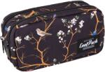 COOLPACK Penar școlar dreptunghiular Cool Pack Primo - Vilnius (F105927) Penar
