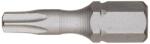 Forum Bit Forum Torsion, DIN3126, TX20x25mm (4317784965569) Set capete bit, chei tubulare
