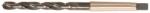 Forum Burghiu pentru metal Forum, rectificat tratat cu abur HSS DIN345, coada conica MK4, 38x200/349mm (4317784809665) - constructii-mag Burghiu