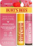 Burt's Bees Tinted Lip & Beeswax ajakbalzsam szett - 1 szett