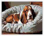  Alvó Basset Hound Kényelmes Ágyon - számfestő készlet
