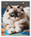 Számfestő Ragdoll Macska Kék Szemekkel - számfestő készlet (crea5877)