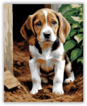  Beagle Kölyök a Kertben - számfestő készlet