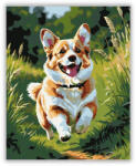 Számfestő Corgi Fut a Mezőn - számfestő készlet (crea5854)